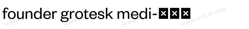 founder grotesk medi字体转换